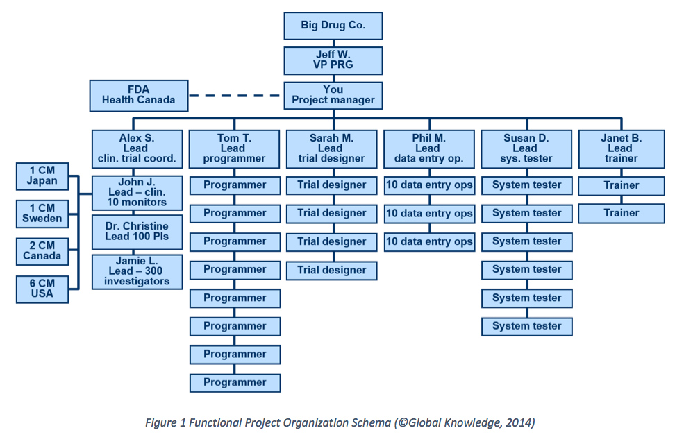 Agile Organization Chart