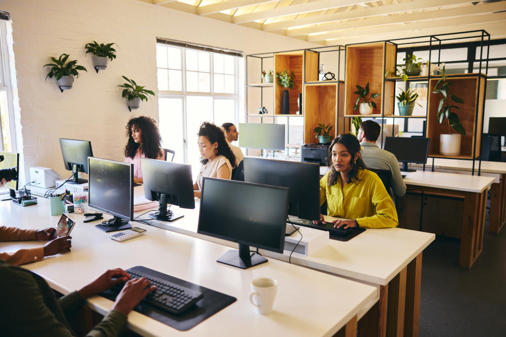Business professionals working at IT workstations in a collaborative enterprise learning environment.